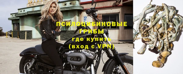 ПСИЛОЦИБИНОВЫЕ ГРИБЫ Нягань