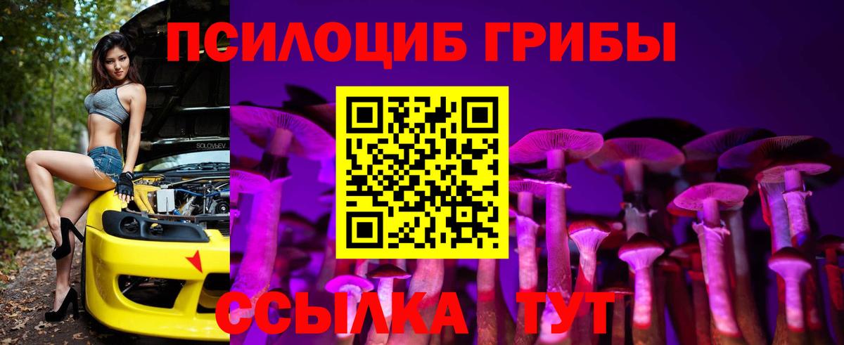 Россошь  Галлюциногенные грибы Cubensis  Вход с VPN 