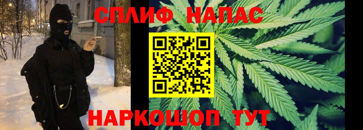 Шишки марихуана планчик  Бошки Шишки Amnesia  Вход с VPN  Россошь  Шишки марихуана сатива 